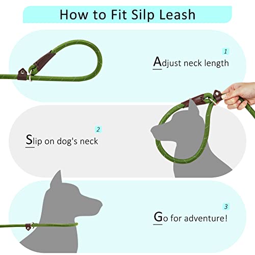 Aicsdco 1/2" X6Ft Slip Lead Dog Leash,Heavy Duty Dog Leash For Large,Medium,Small Dogs,Strong Durable No Pull Dog Training Leash With Highly Reflective Threads For Walking. #TOP3