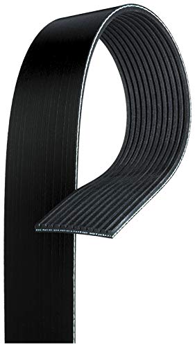 Cinturón para césped Gates 7088BR BladeRunner ideal para cuidar parcelas grandes y fincas