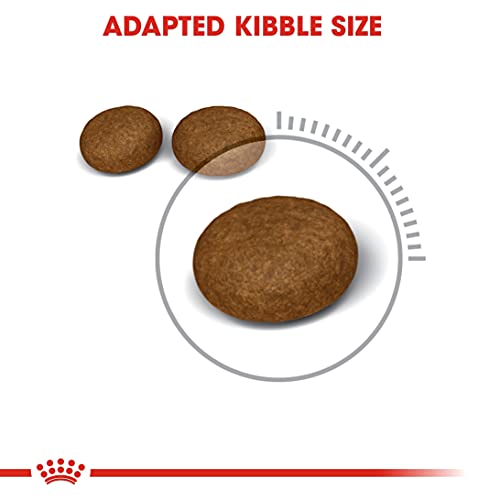 Royal Canin Hair and Skin 33 Katzenfutter, 10 kg- Katzenfutter
