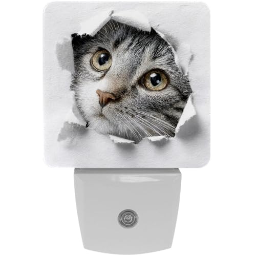 Image of NEWzone Funny Cat Night Light [2 Pack], Plug in Wall Led Night Lights Decor for Boys Girls Room, Dusk to Dawn Sensor Wall Lamp for Stairway /Bedroom /Kitchen /Nursery Room