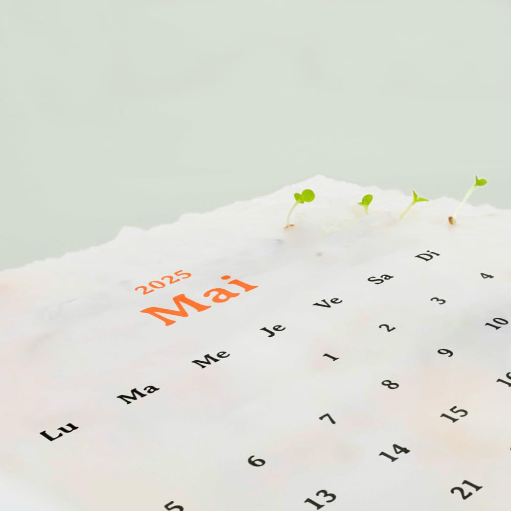 Plantable Calendar 2025, Kraft - Image 4