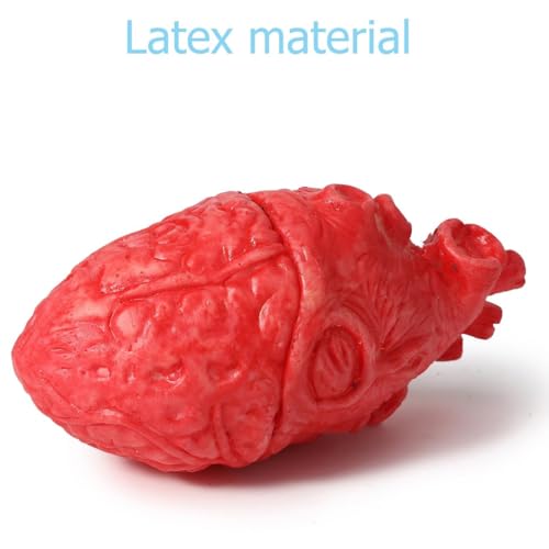 Simulation Herzen, Künstliche Herzen, Simulation Blutige Orgel, Körperteile Party Requisiten, Halloween Dekoration mit Blut verschmiert, Horror Dekoration für Halloween Mottoparty Streich Trick