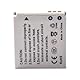 DSTE 2-Pack NB-4L Ersatz Batterie Akku Kompatibel mit Canon PowerShot SD200 SD300 SD400 SD430 SD450 SD600 SD750 SD1000