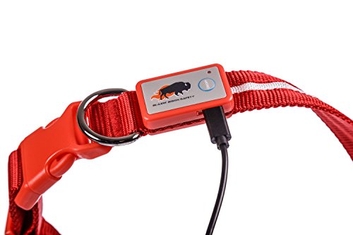 Blazin' Safety LED Dog Leash - USB Rechargeable Flashing Light, 6 Ft, Water Resistant – Avoid Danger – Red