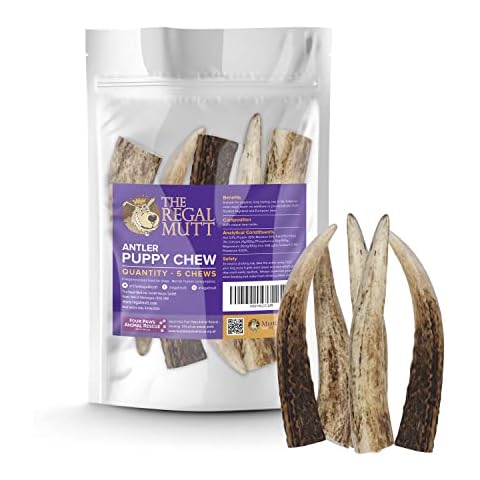 The Regal Mutt - Antler Puppy Chews - (Pack of 5) Cover