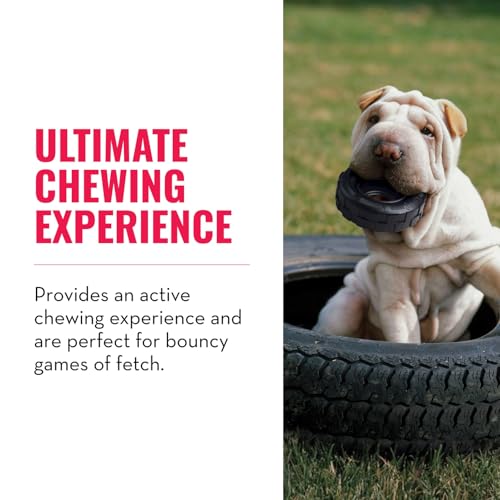 KONG Extreme Tires - KONG's Most Durable Natural Rubber Chew & Fetch Toy - Treat Dispenser Dog Tire Toy - Pet Supplies for Outdoor & Indoor Play - For Medium/Large Dogs