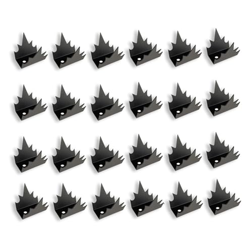 ǃtFXXpCN Nҗ}~tFXEH[XpCN lWt S 12/24 tȒP ubNh A`NC x_  肷?p hƋ h hb΍ ̓oh~B ό󐫋 Kh~H N}~ z[ZLe