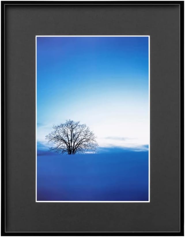 ハクバ HAKUBA 軽量 額縁 ZEROフレーム G-01 A4 ブラック FZG01-A4BK