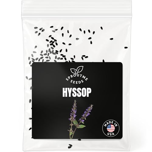 Fall & Winter Hyssop Seeds for Indoor & Outdoor...