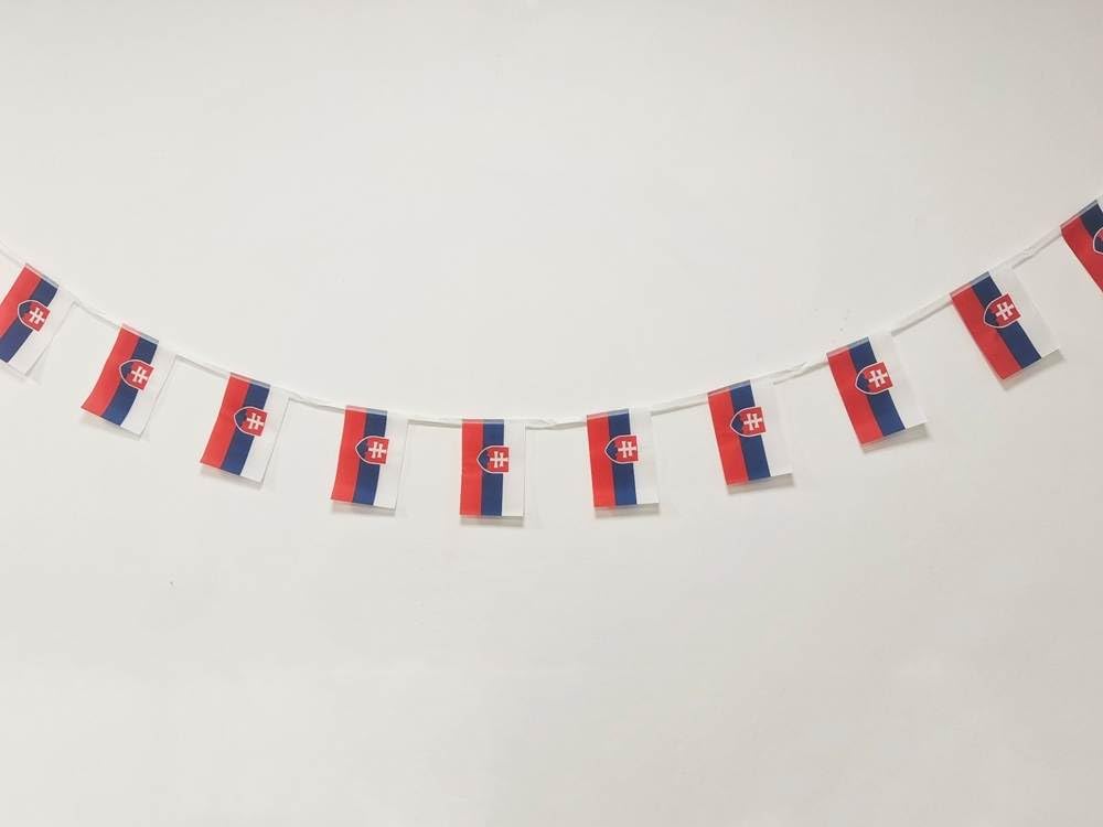 Slovakia Flag 40pcs Slovakia Flag Slovakia Garland 11.4M Slovakia Bunting National Flag European Flags 14x21cm for Bar Decorations - Image 3
