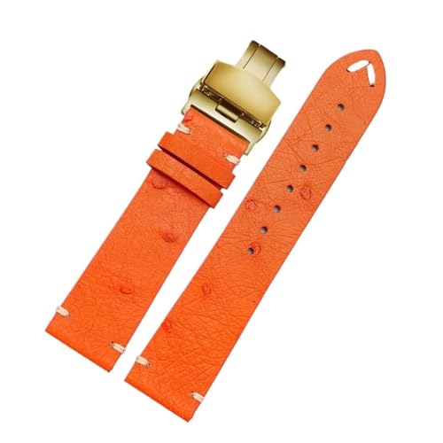 [X] 20 22mm uXbg bNXɓK ZCR[ubNO[ɓK EH[^[S[XgɓK eB\ɓK IKɓK _`EvvohɓK YуfB[XvXgbv(B-orange-gold,22mm)