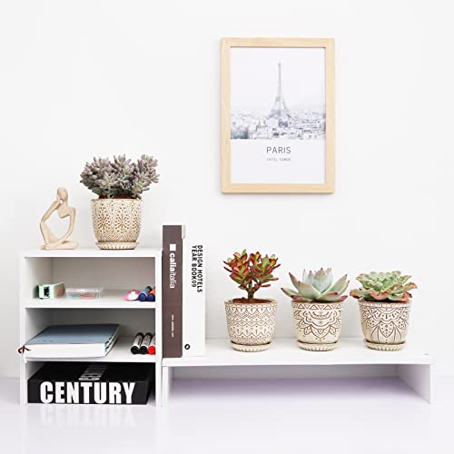 Pots de fleurs anti pourrissement racines succulentes Gepege - 7