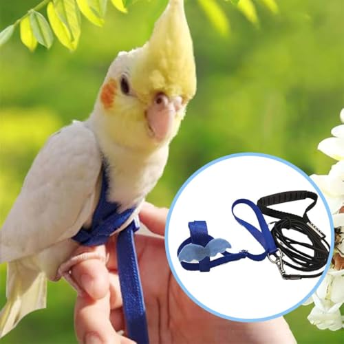 Verstellbares Geschirr für Papageien Vogel Geschirr Leine für draußen zum Trainieren von Fliegen Leine gegen Beißen elastisches Band für Vögel Papageien Kakadus Aras papagei nobby leine