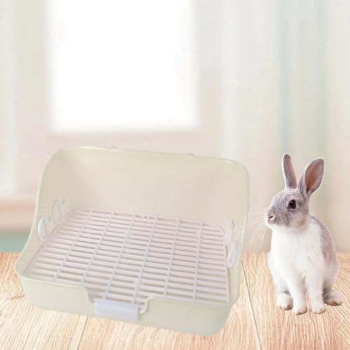 MYCENSE CAGA de REÇO CAGA BAILETO de CAGA de PETRIMENTO de PETO de PETOS de PETOS de PETOS de PETOS