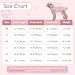 TQFlow Hundbody Nach Op, Body Hund Kastration Wundschutzanzüge Hündin Rüde, Wundschutz Professioneller Pet Recovery Suit, Operationsbody Hund Body Atmungsaktiv Hunde Einteiler (Rosa,XS)