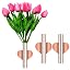 Heart-shaped Rose Gold