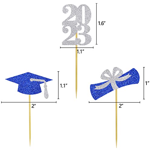 Graduation Cupcake Toppers Grad Party Decoration Food Picks Congrats Glitter Diploma Cap School Colors Supplies 24 Pcs Blue Silver #TOP1