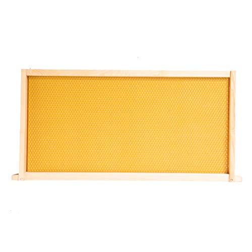 10-Pack Waxed Plastic Foundation With Complete Unassembled Commercial Frames, 9-1/8-Inch #TOP1