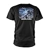 Amon Amarth Raven's Flight (Black) Official Tee T-Shirt Mens Unisex (Large) #1