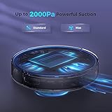 Kakzza B09PYX1GG6 lato 2