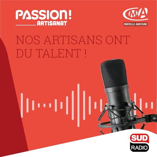 Page de couverture de PASSION ARTISANAT !
