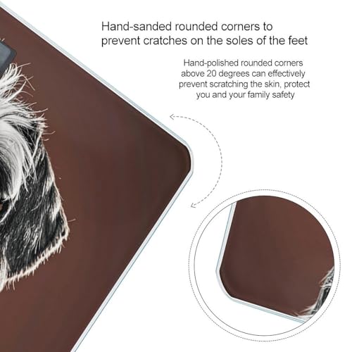 Báscula Digital de Baño Adorable Schnauzer con Pantalla LCD miniatura 4