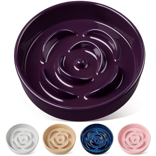 vancasso Slow Feeder Dog Bowl, 3 Cups Ceramic Slow Feeder for Large Breed, Puzzle Maze Dog Food Bowl for Fast Eater, Dark Purple
