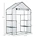 Outsunny 5' x 2.5' x 6.5' Mini Walk-in Greenhouse Kit, Portable Green House with 3 Tier Shelves, Roll-Up Door, and Weatherized Plastic Cover for Backyard Garden, Clear