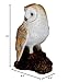 Barn Owl on a Stump by Michael Carr Designs - Outdoor Owl Figurine for gardens, patios and lawns (80050)