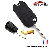 KIT DE Transformation CLE PLIP Peugeot 207 307 407 807 Expert 2 Boutons Lame rainurée Conversion @Pro-Plip