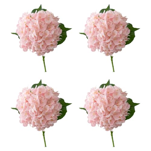 4 vȃtFCNAWTC̉ԏ_ȃC[ȒPgݗăz[p[eB[̑Aȃ^b`AWTC̉