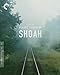 Shoah (Criterion Collection) [Blu-ray]