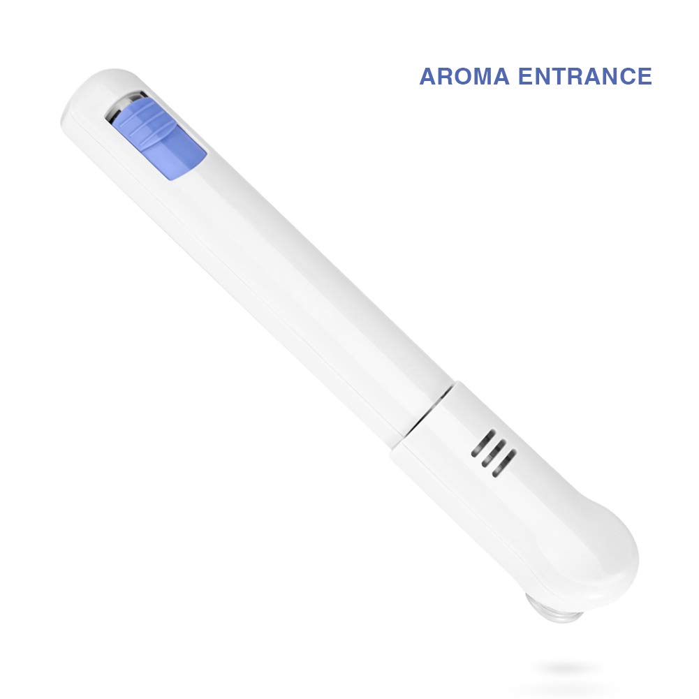 Vaporizzatore facciale all'ozono, spruzzatore ionico 2 in 1, vapore aromaterapico per sauna facciale, spruzzatore micro-nano SPA per pulizia idratante viso, per uso personale a casa(EU)