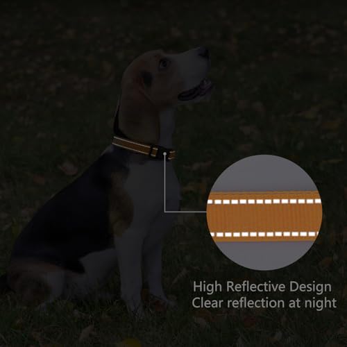 Image of Reflective Dog Collar, Adjustable Nylon for Small Dogs, Orange