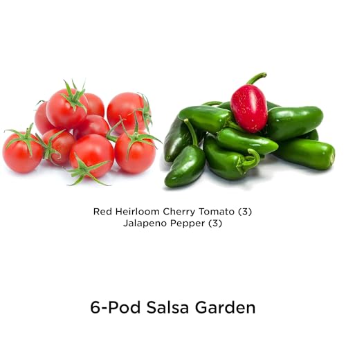 Image of AeroGarden Salsa Garden Seed Pod Kit (6-pod)