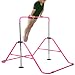 RELIANCER Expandable Gymnastics Bars Junior Training Bar Adjustable Height Gymnastic Horizontal Bars Children Folding Training Monkey Bars Child Gym Climbing Tower Kip Balance Bar for Kids Gymnasts