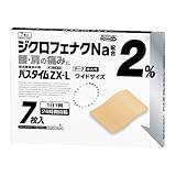 �p�X�^�C��ZX-L 7��