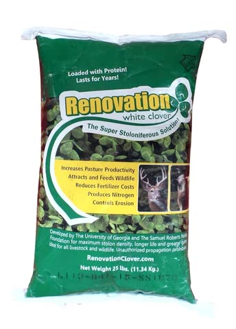Renovation White Clover Seed (5 Lbs.)