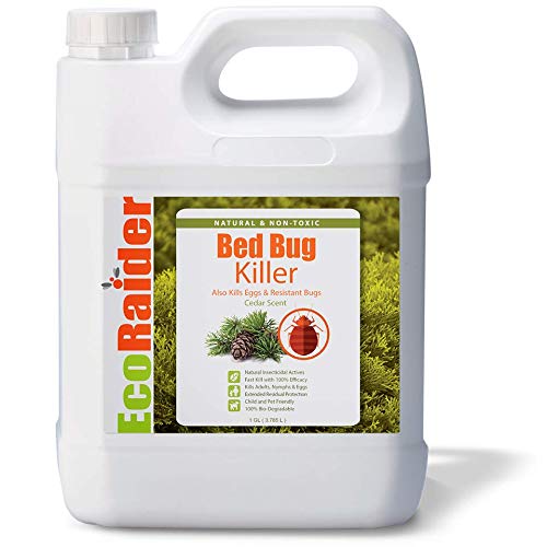 Safe Bed Bug Spray