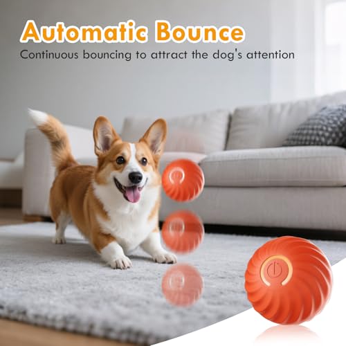 Gerbala hundespielzeug Ball, Selbstrollender Hund, Interaktives Hundespielzeug Mit USB-Ladekabel, Interaktives Hunde Ball Spielzeug für langeweile drinnen draußen (B)