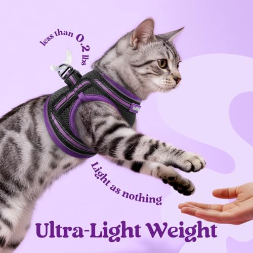 Image of rabbitgoo Cat Harness and Leash Set, Step-in Soft Vest, Black & Purple