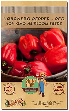 Habanero Pepper Seeds - Open Pollinated/All Natural/Non-GMO Chili Pepper Vegetable Seeds for Planting Home Garden - Pack of 30 Hot Pepper Heirloom Seeds - Growing Instructions Included