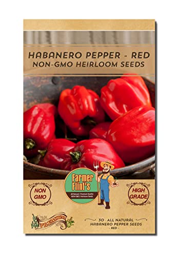 Habanero Pepper Seeds - Open Pollinated/All Natural/Non-Gmo Chili Pepper Vegetable Seeds For Planting Home Garden - Pack Of 30 Hot Pepper Heirloom Seeds - Growing Instructions Included #TOP2