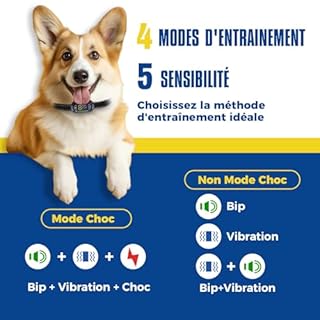 Collier Anti Aboiement Chien, Rechargeable Collier Chien avec 4 Modes Son/Vibration/Choc Electrique, Réglable 5 Niveaux de Sensibilité, Étanche IP67 pour Gros Petit Chien - Noir