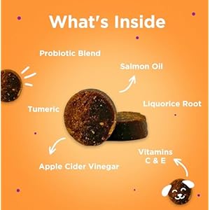 First Impressions Itch, Please! Dog Allergy Chews – Dog Allergy Relief – Stop Licking, Scratching and Chewing – Apple Cider Vinegar, Probiotics, Turmeric – Allergy Relief for Dogs Itching – 120 ct