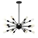 Light Society Sputnik 18-Light Chandelier Pendant, Matte Black, Mid Century Modern Industrial Starburst-Style Lighting Fixture (LS-C115-BLK)
