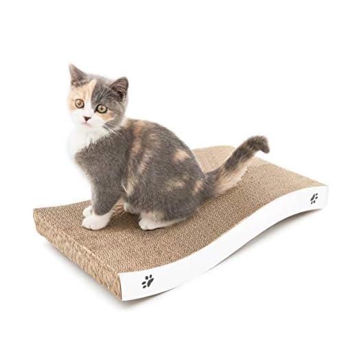 Conlun - rascador Gato Carton con Textura Premium para rayar, Duradera, Reversible