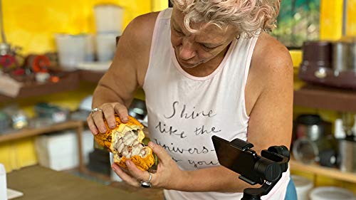 The scrumptious art of bean-to-bar chocolate making in Costa Rica