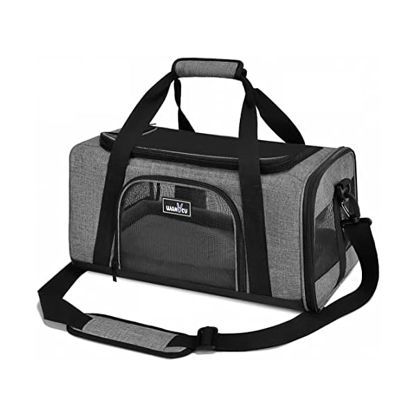 Airline Approved Dog Carrier with Wheels Buy Online