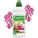 Purgrün
